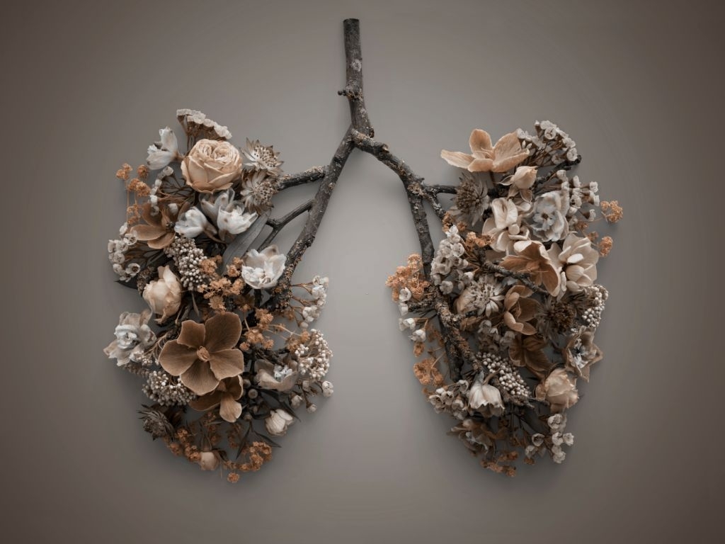 Lungs made of flowers